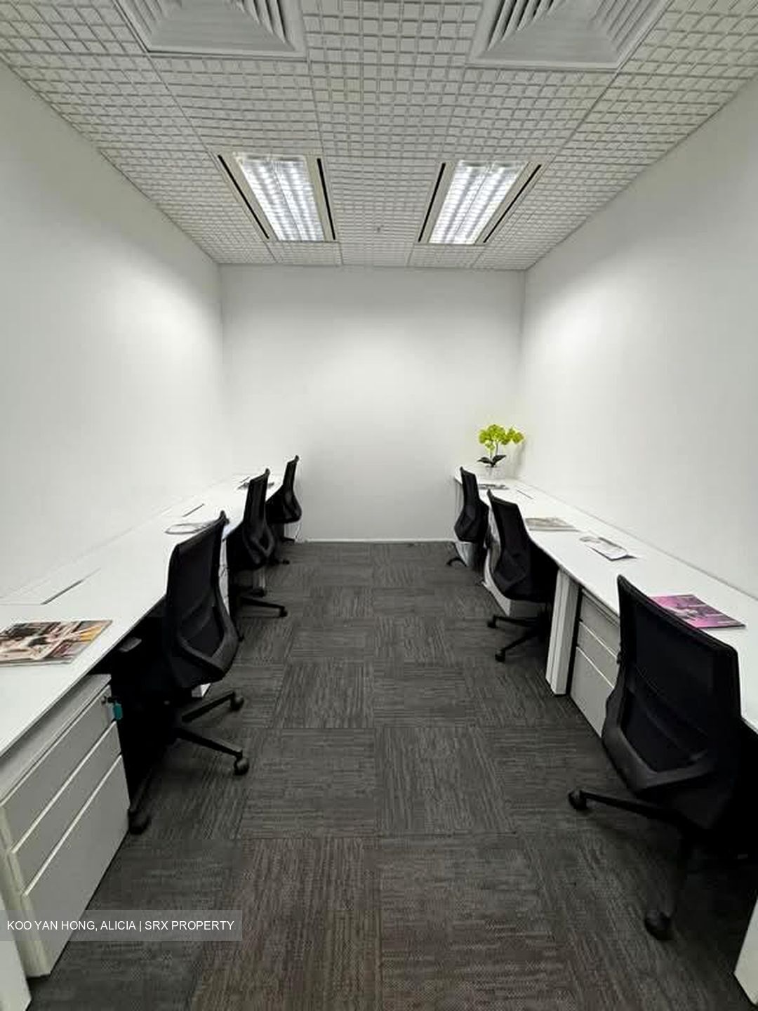 The Octagon (D1), Office #555454641